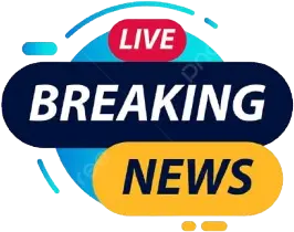 TotoCash: Berita Online Seputar Situs TotoCash